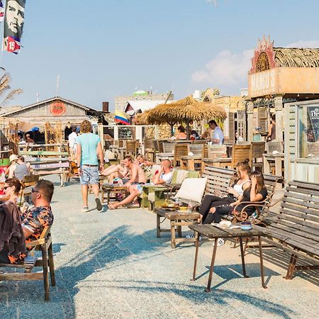 Seawave Studio Zandvoort Zewnętrze zdjęcie