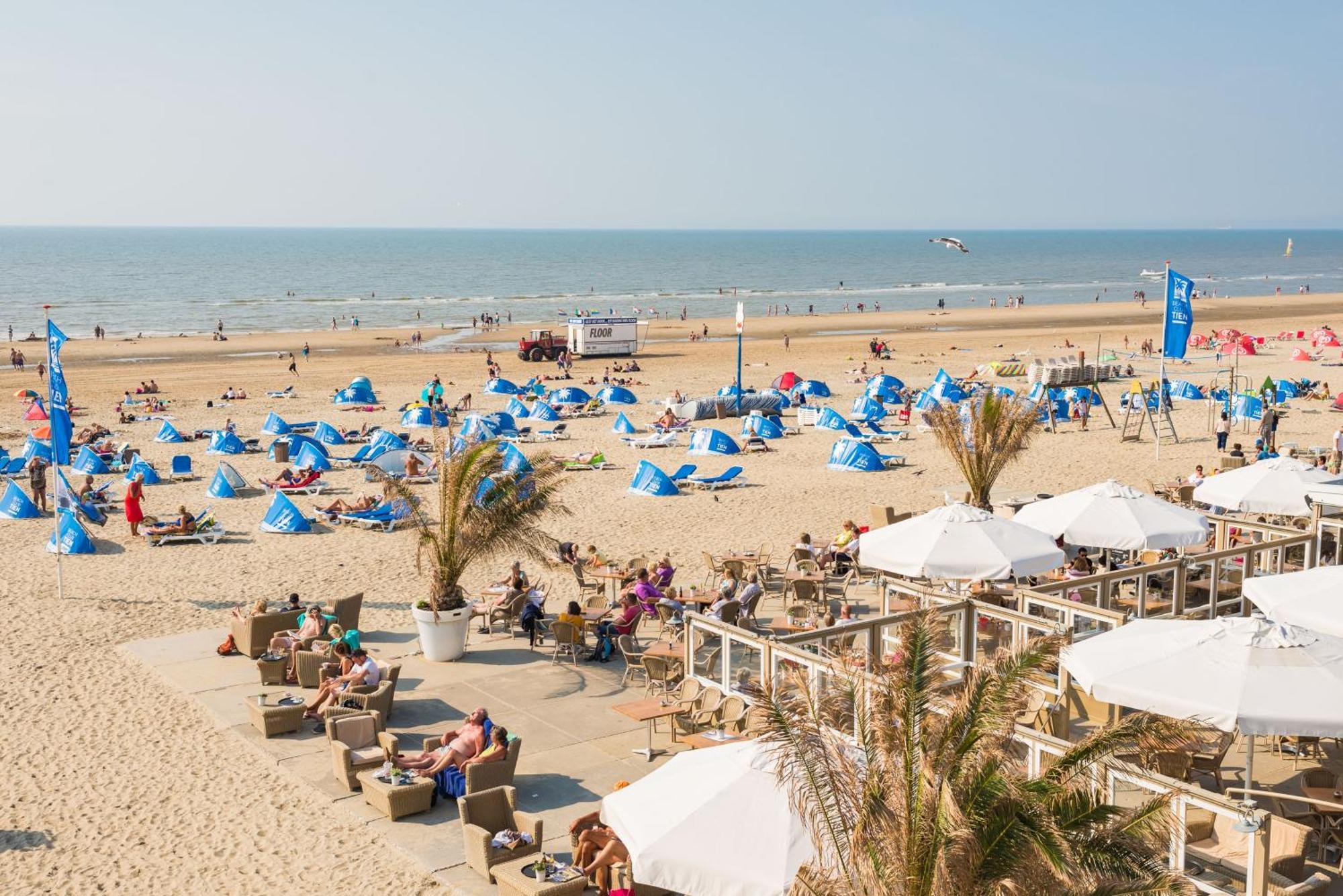 Seawave Studio Zandvoort Zewnętrze zdjęcie